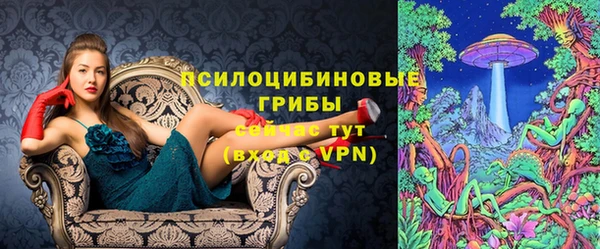 МДПВ Абдулино