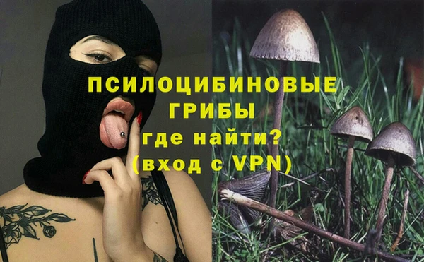 МДПВ Абдулино