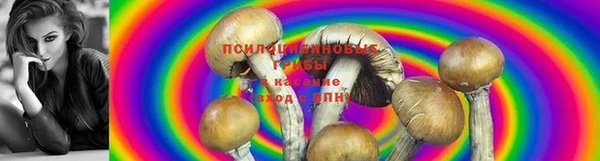 МДПВ Абдулино
