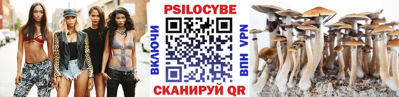 Псилоцибиновые грибы Cubensis  Каменногорск 